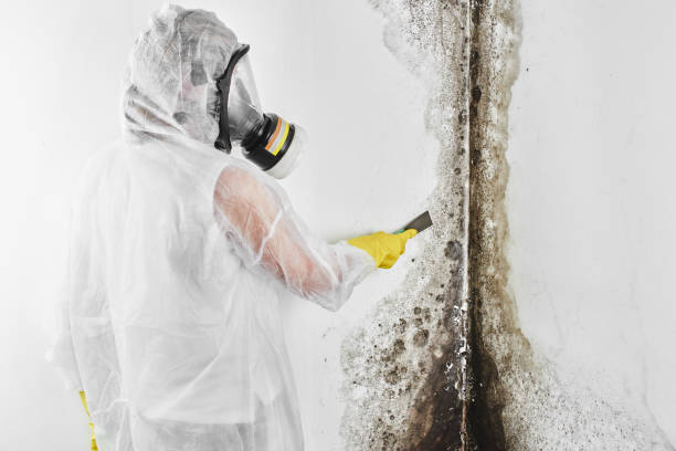 Best Mold Testing  in Sperry, OK