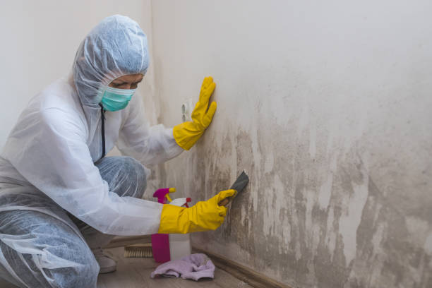 Mold Removal Process in Sperry, OK