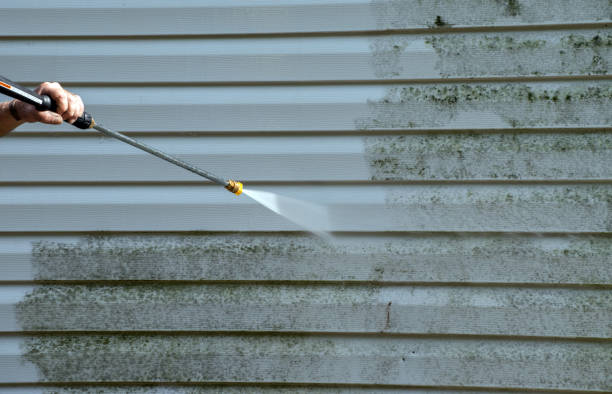 Best Office Mold Removal Services  in Sperry, OK