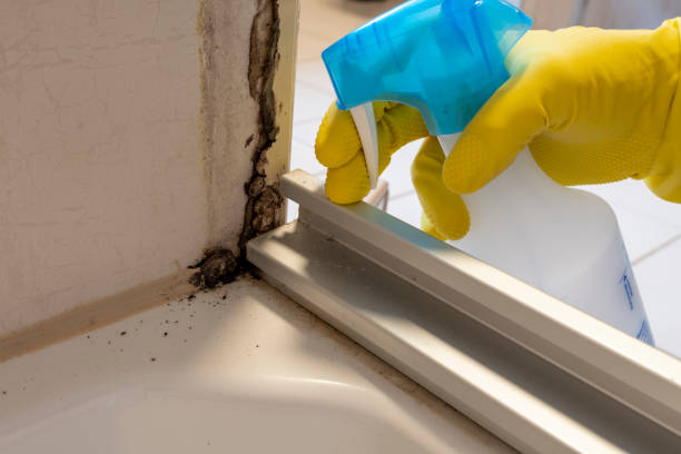 Best Certified Mold Removal  in Sperry, OK