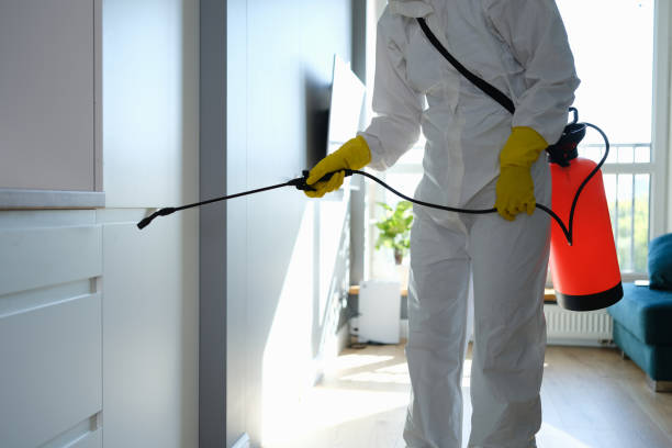 Professional Mold Removal in Sperry, OK