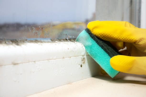 Reliable Sperry, OK Mold Removal Solutions