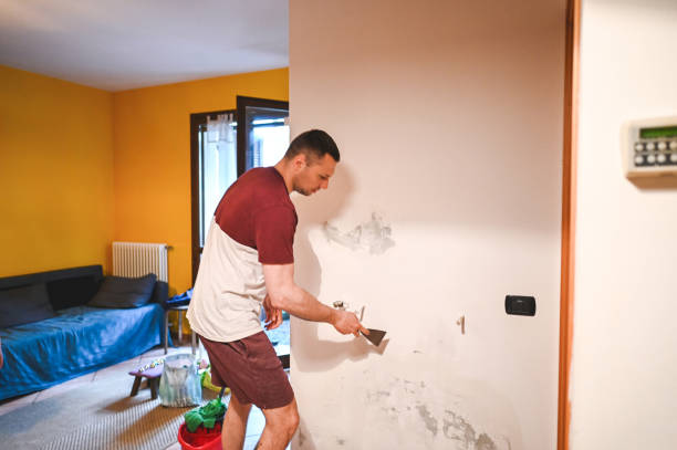 Best Black Mold Removal  in Sperry, OK