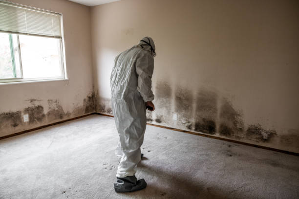 Sperry, OK Mold Removal Company