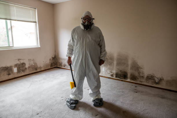 Best Water Damage Restoration  in Sperry, OK
