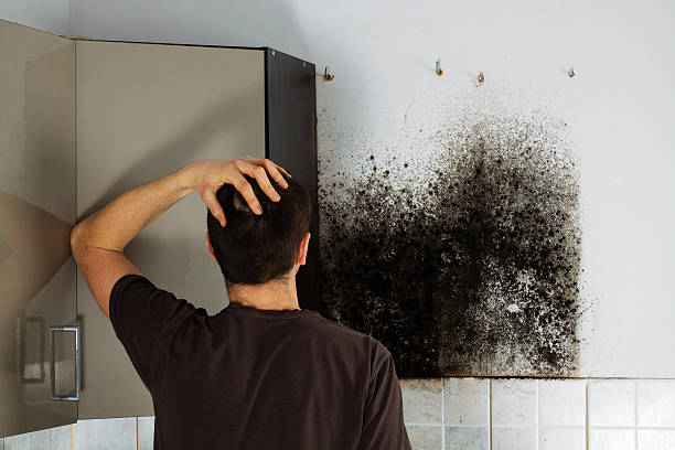 Best Mold Remediation Experts  in Sperry, OK